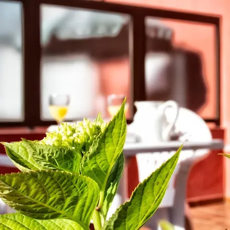 Guest house Hotel Covadonga *